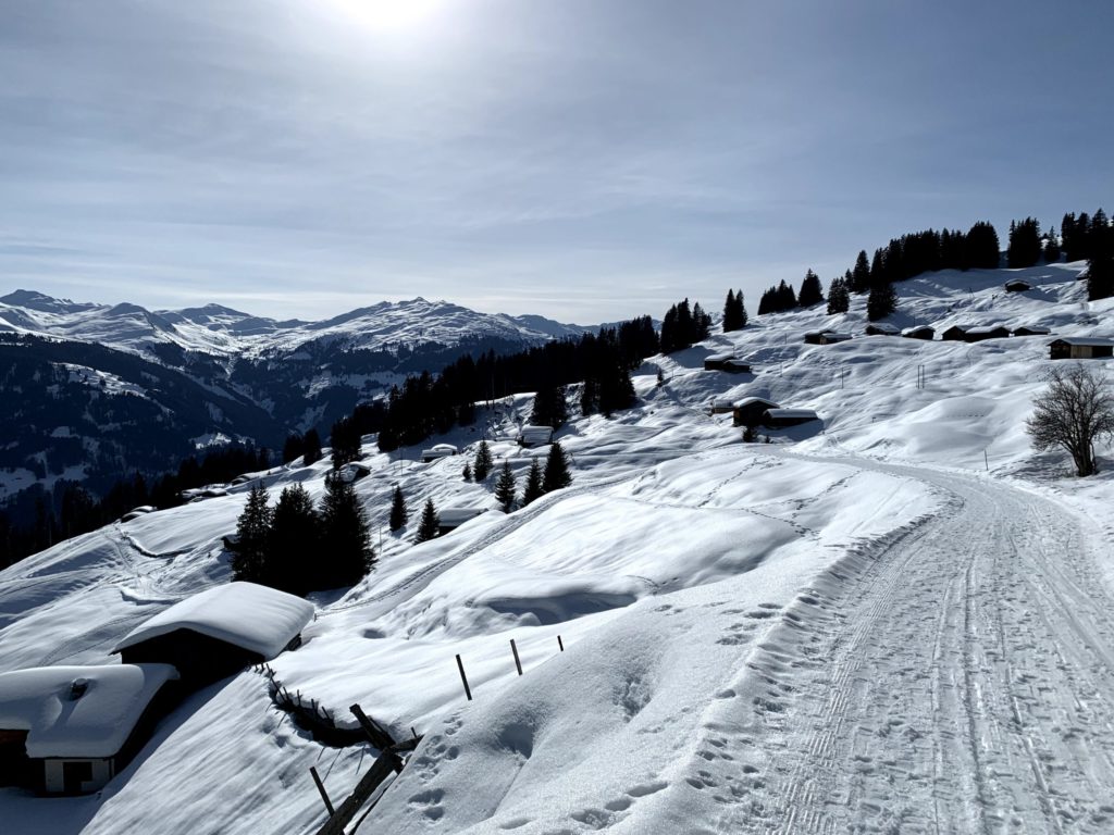 Schneeschuhwandern Pany