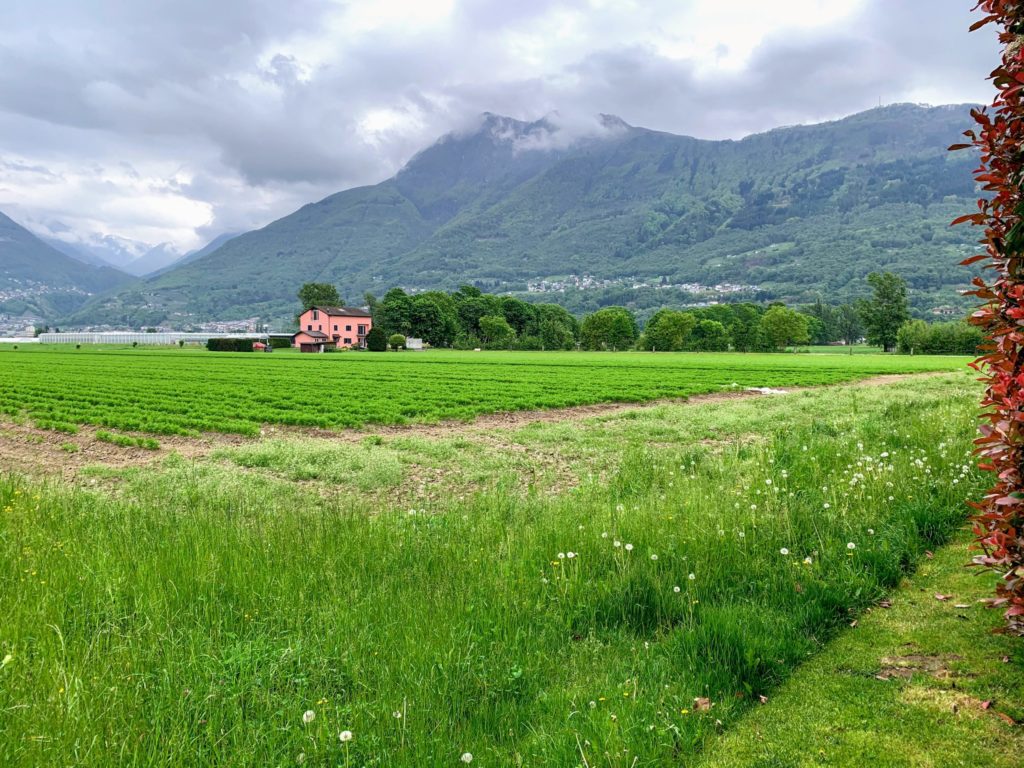 Velotour Bellinzona-Ascona