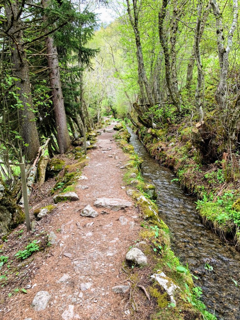 Bisse du Milieu