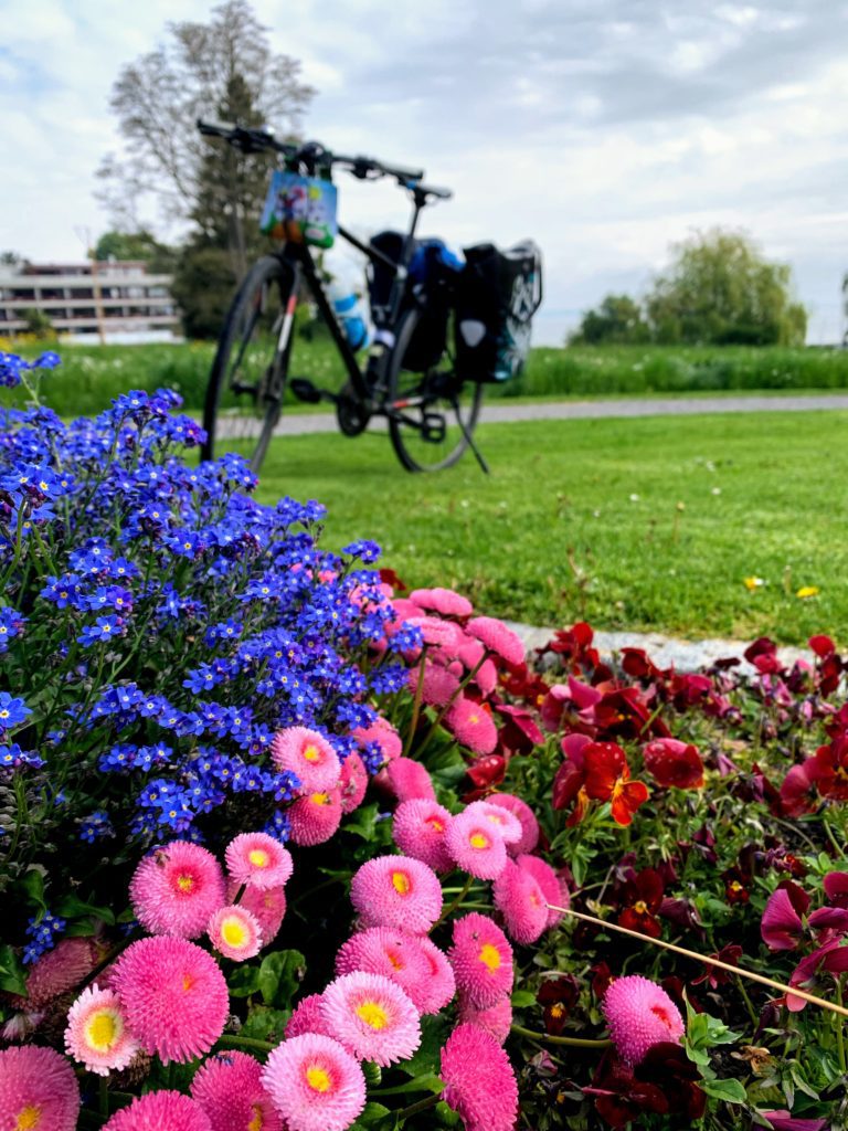 Bodensee