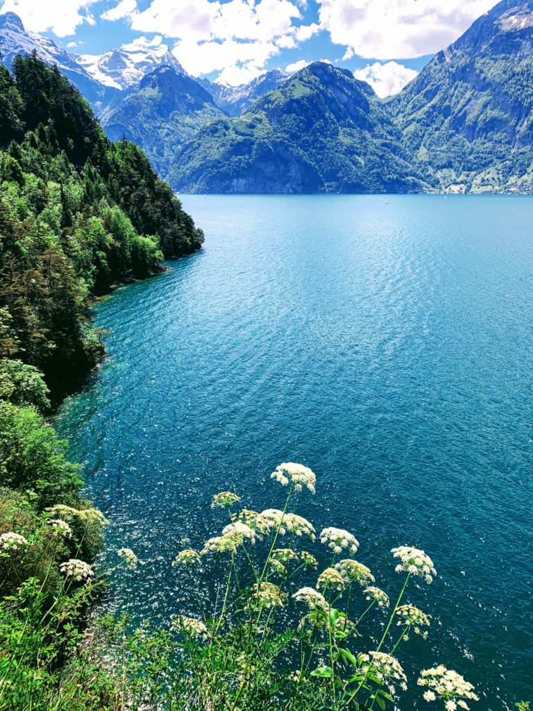 Weg der Schweiz