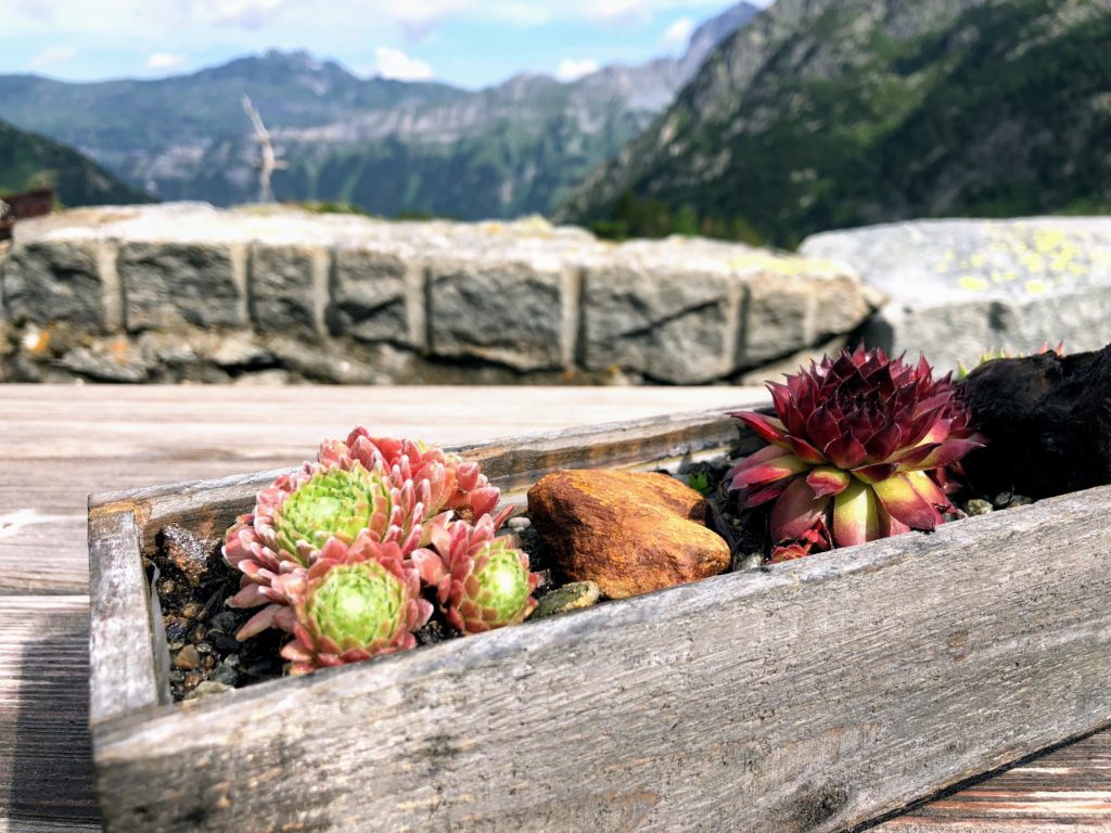 Wanderung zur Windegghütte