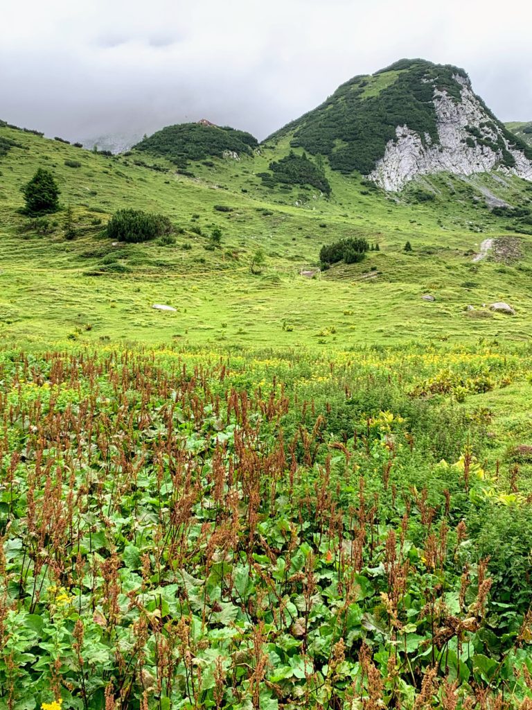 Ringelspitzhütte