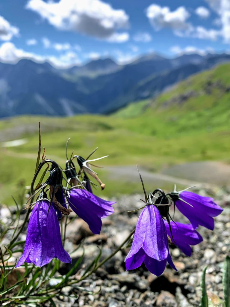 arosa_sonnenaufgangswanderung_