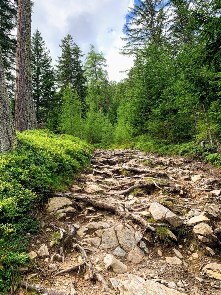 alpenüberquerung