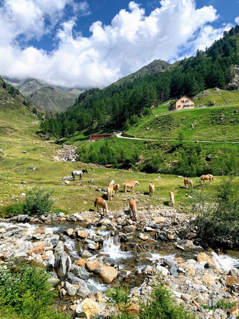 alpenüberquerung