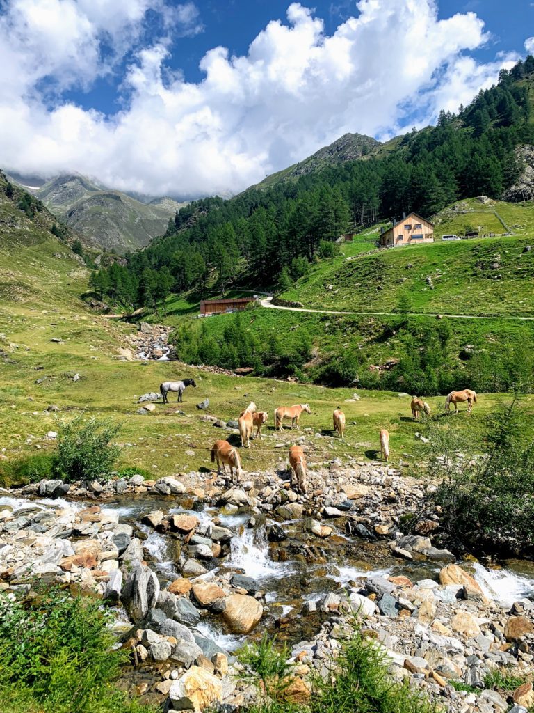 alpenüberquerung_mit_kindern