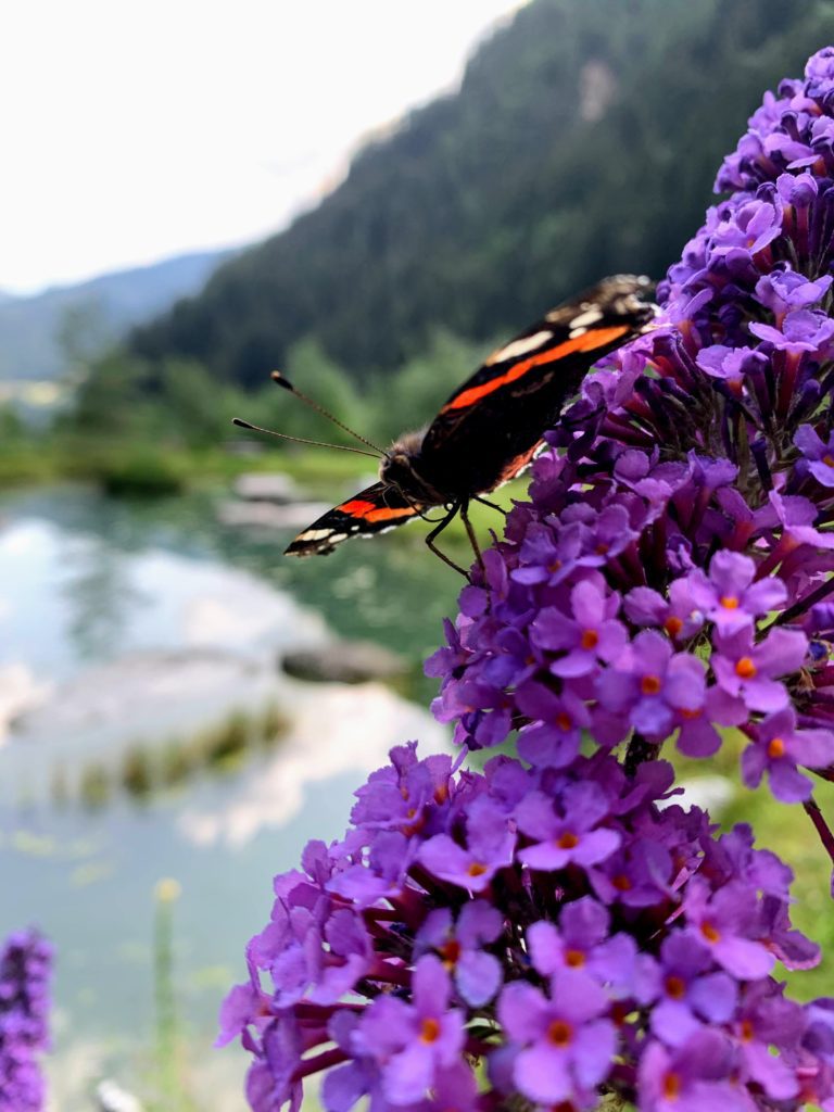 alpenüberquerung