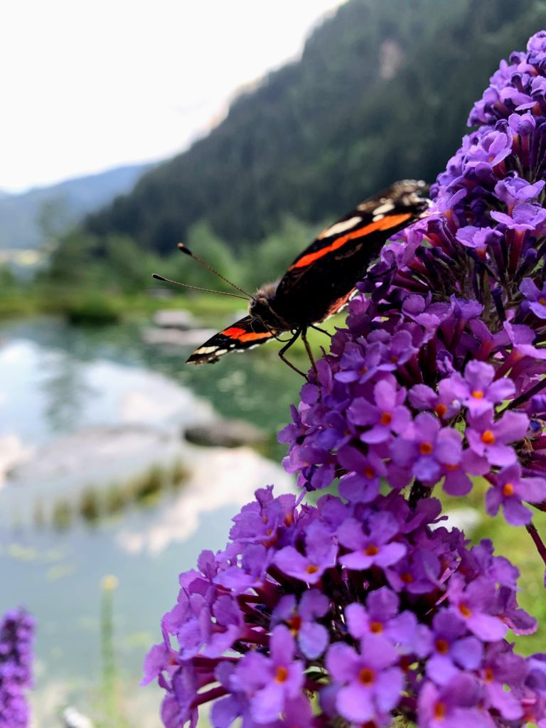 alpenüberquerung_mit_kindern