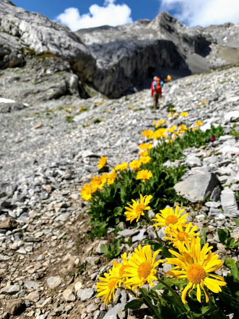 tour_du_wildhorn