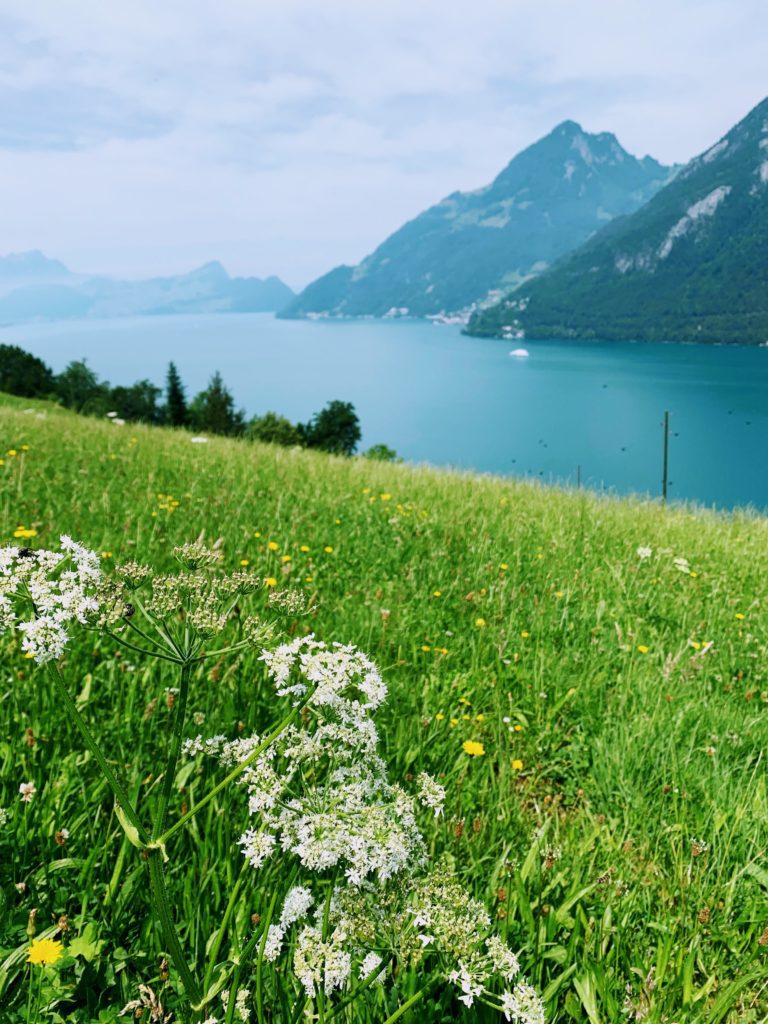 umrundung_vierwaldstättersee_