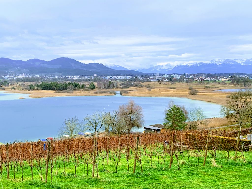 pfäffikersee_