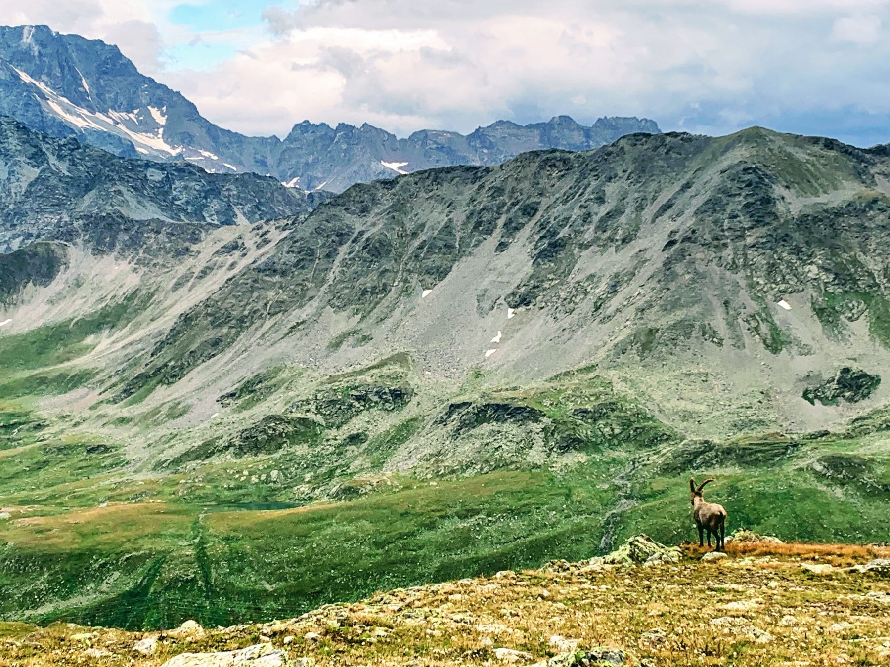 tour_du_st_bernard_