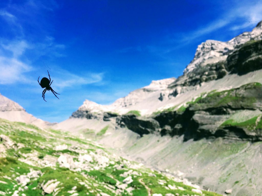 tour_des_dents_du_midi_