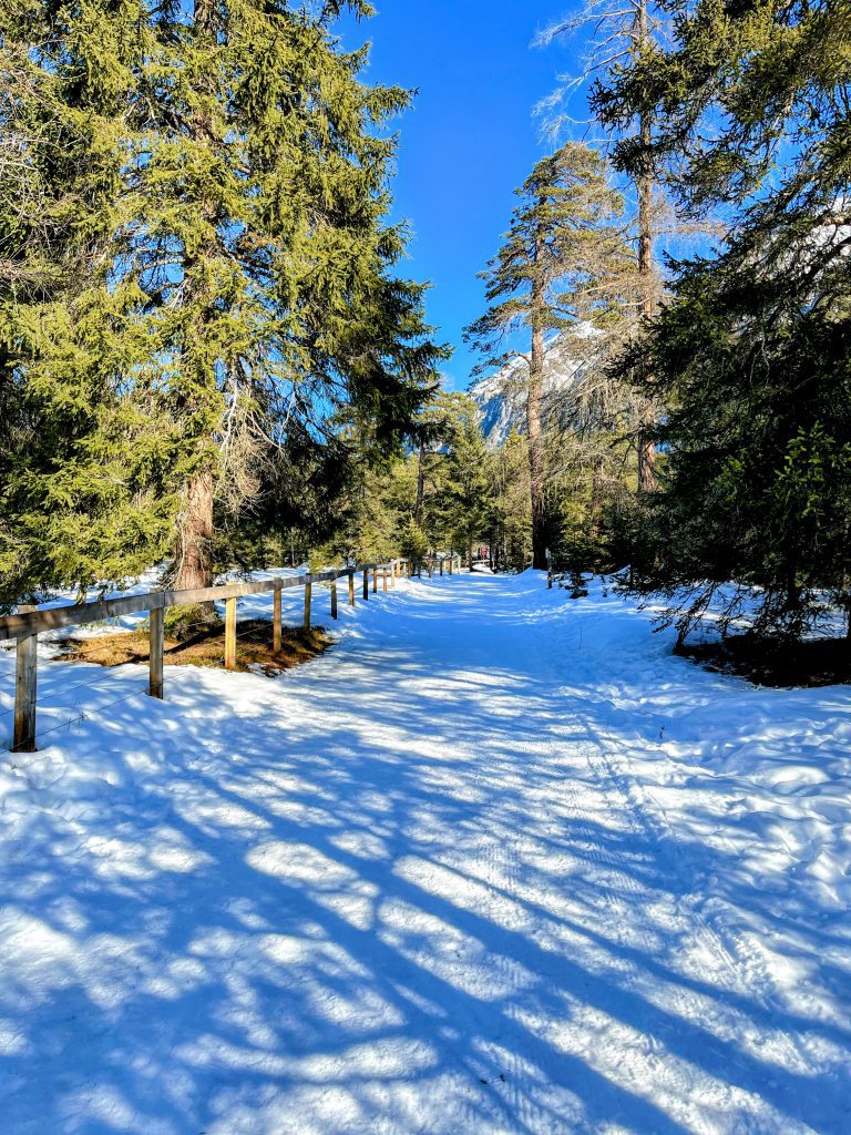 schneeschuhwandern_lantsch_