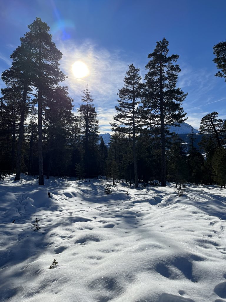 schneeschuhwandern_lantsch_