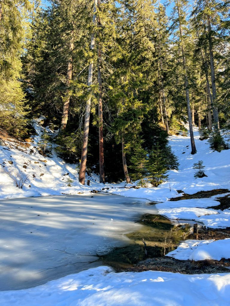 schneeschuhwandern_lantsch_