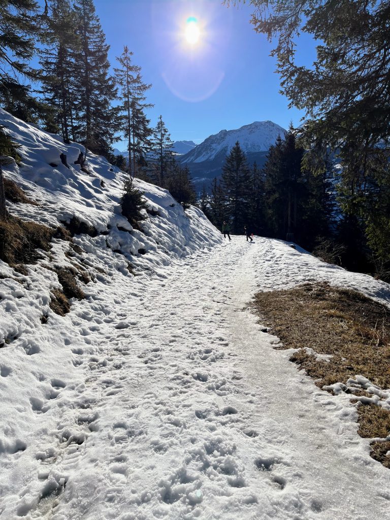 schneeschuhwandern_lantsch_
