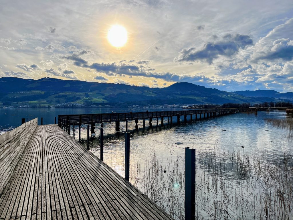 wanderung_pfäffikon_rapperswil_