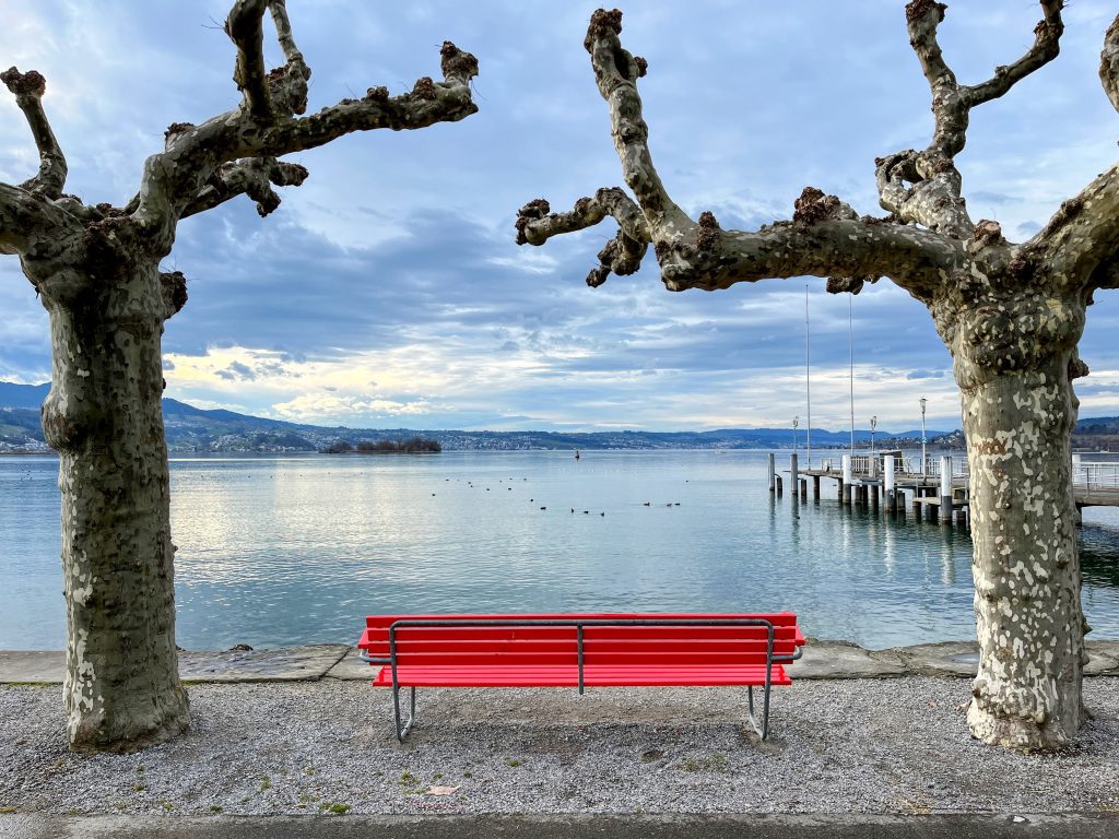 wanderung_pfäffikon_rapperswil_