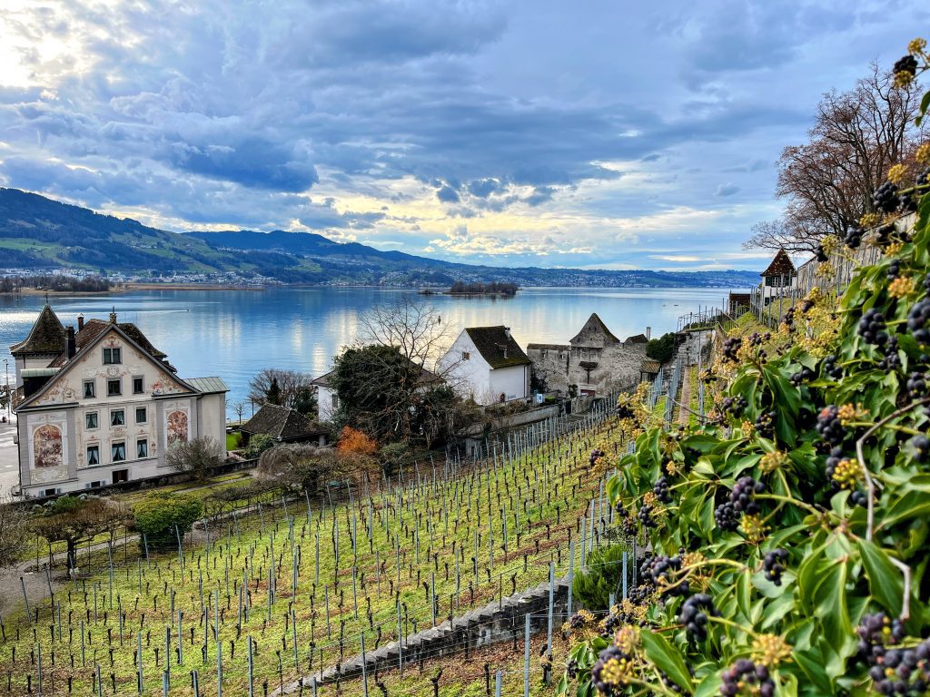 wanderung_pfäffikon_rapperswil_