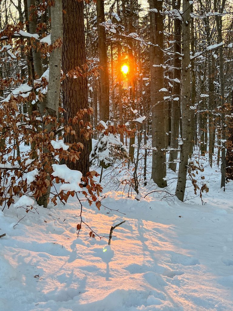 sonnenuntergang_uetliberg_