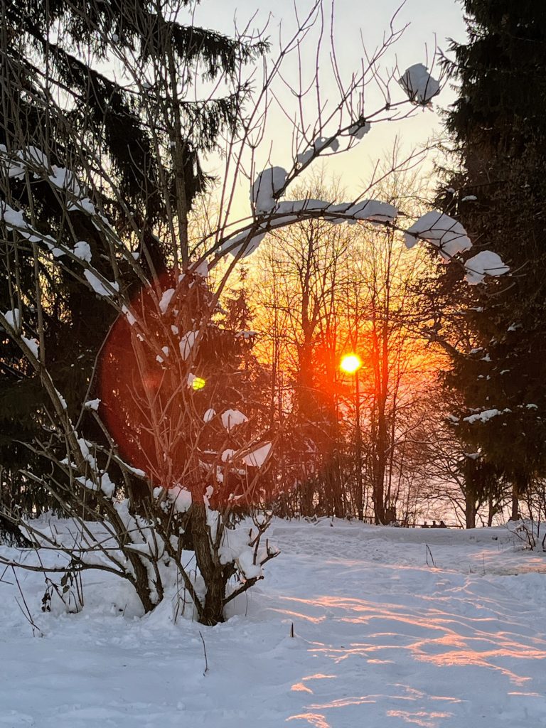 sonnenuntergang_uetliberg_