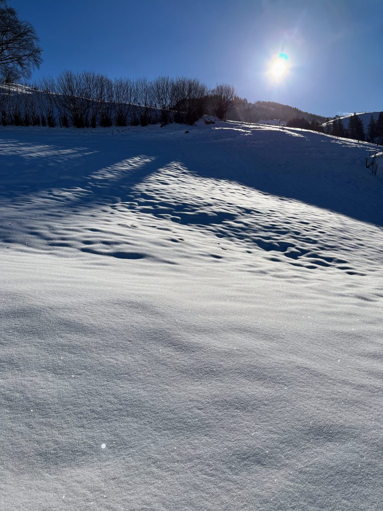 schneeschuhwanderung_rothenturm_