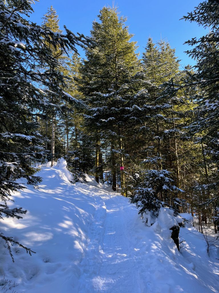 schneeschuhwanderung_rothenturm_