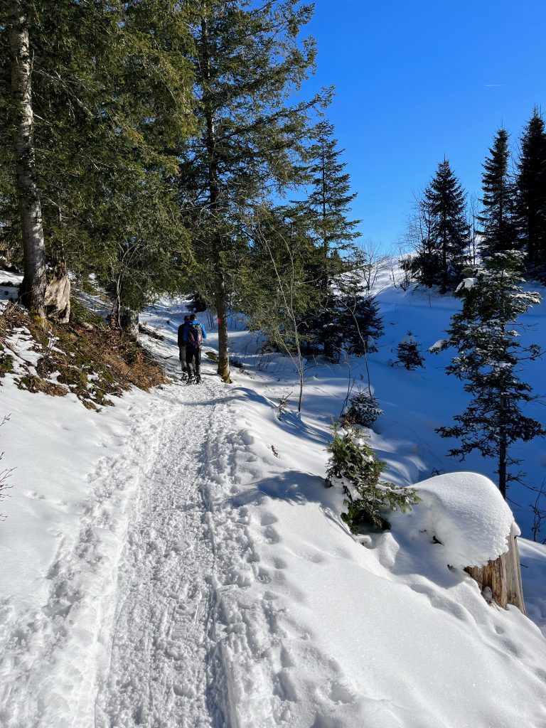 schneeschuhwanderung_rothenturm_