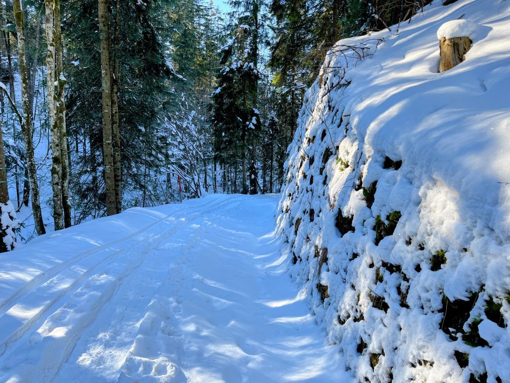 schneeschuhwanderung_rothenturm_