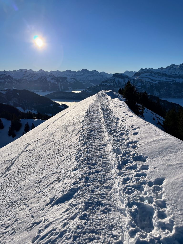 schneeschuhtour_rigi_