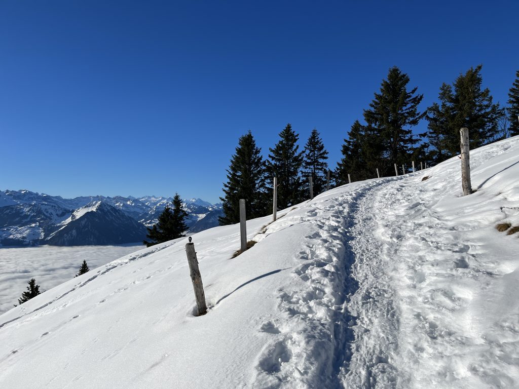 schneeschuhtour_rigi_