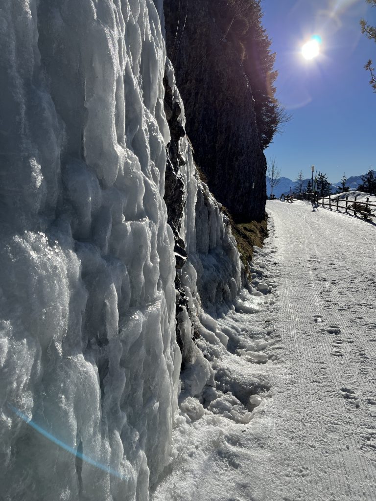 schneeschuhtour_rigi_