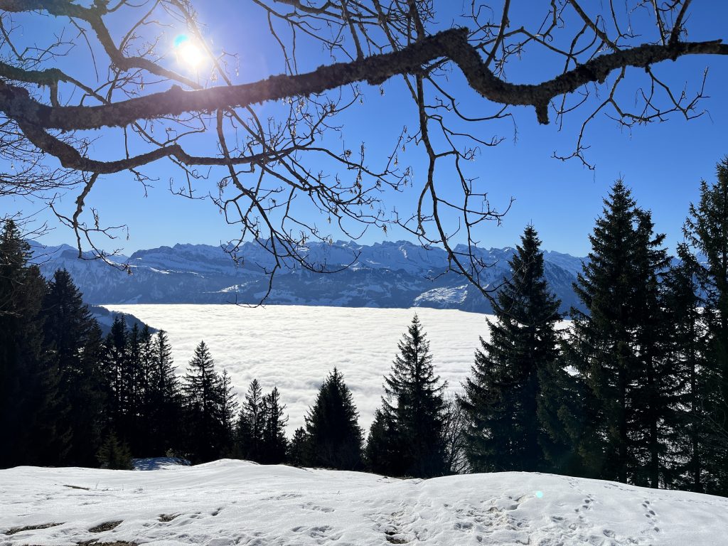 schneeschuhtour_rigi_