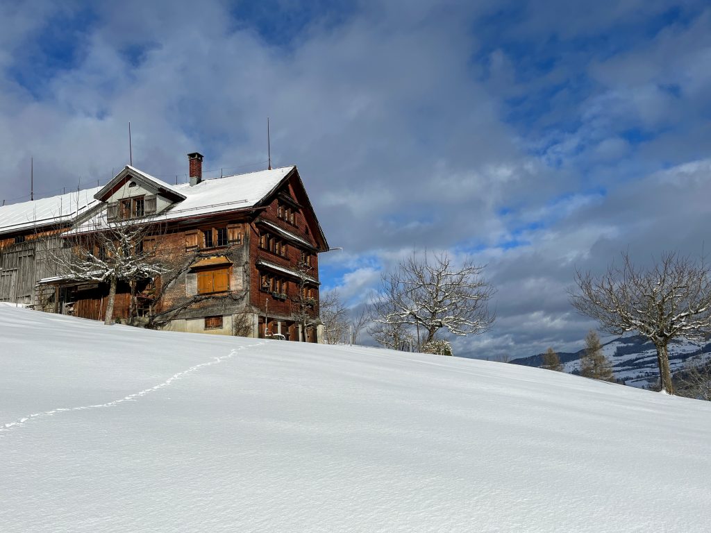 schneeschuhwandern_tanzboden_