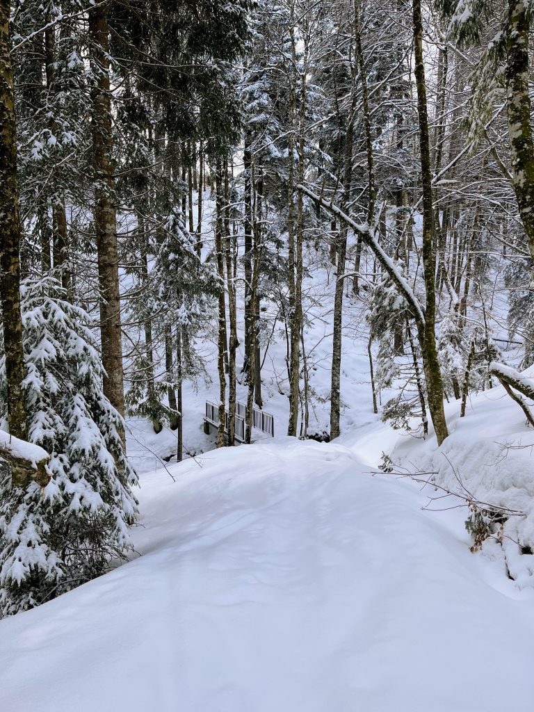 schneeschuhwandern_tanzboden_