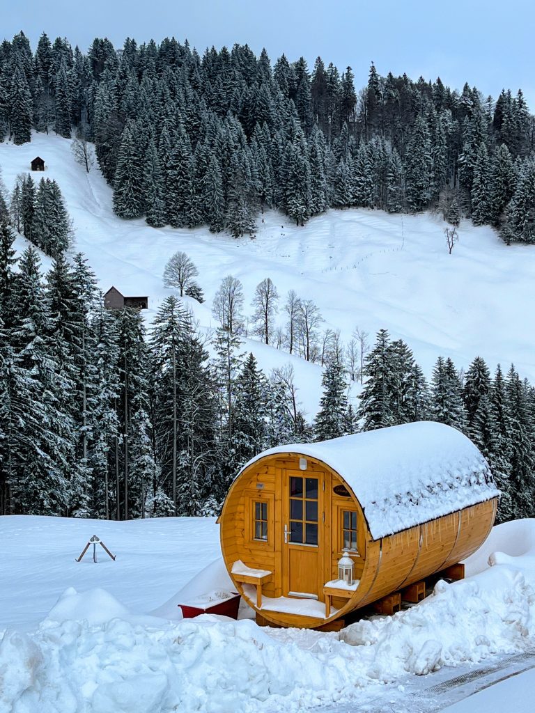 schneeschuhwandern_tanzboden_