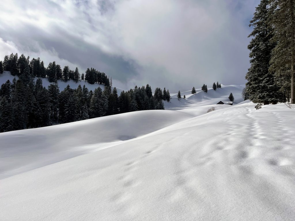 schneeschuhwandern_tanzboden_