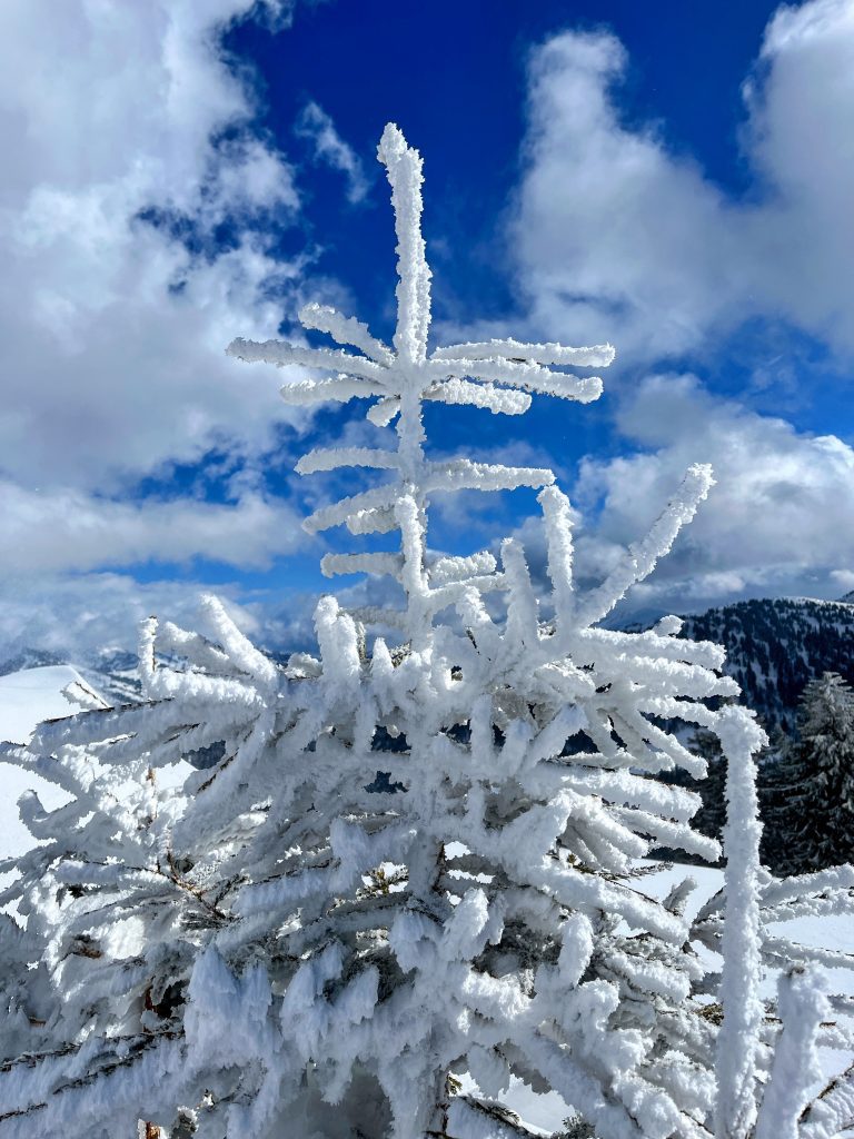 schneeschuhwandern_tanzboden_