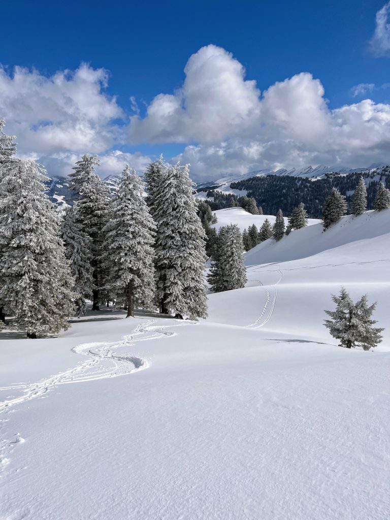 schneeschuhwandern_tanzboden_