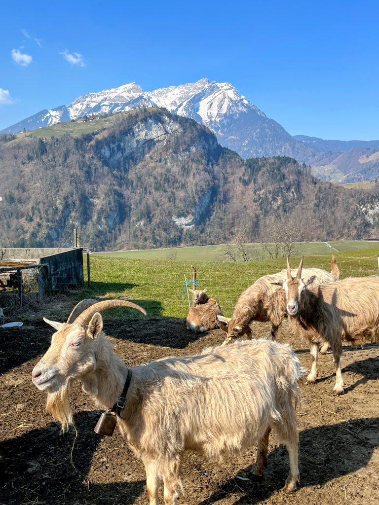 wanderung_kerns_buochs_