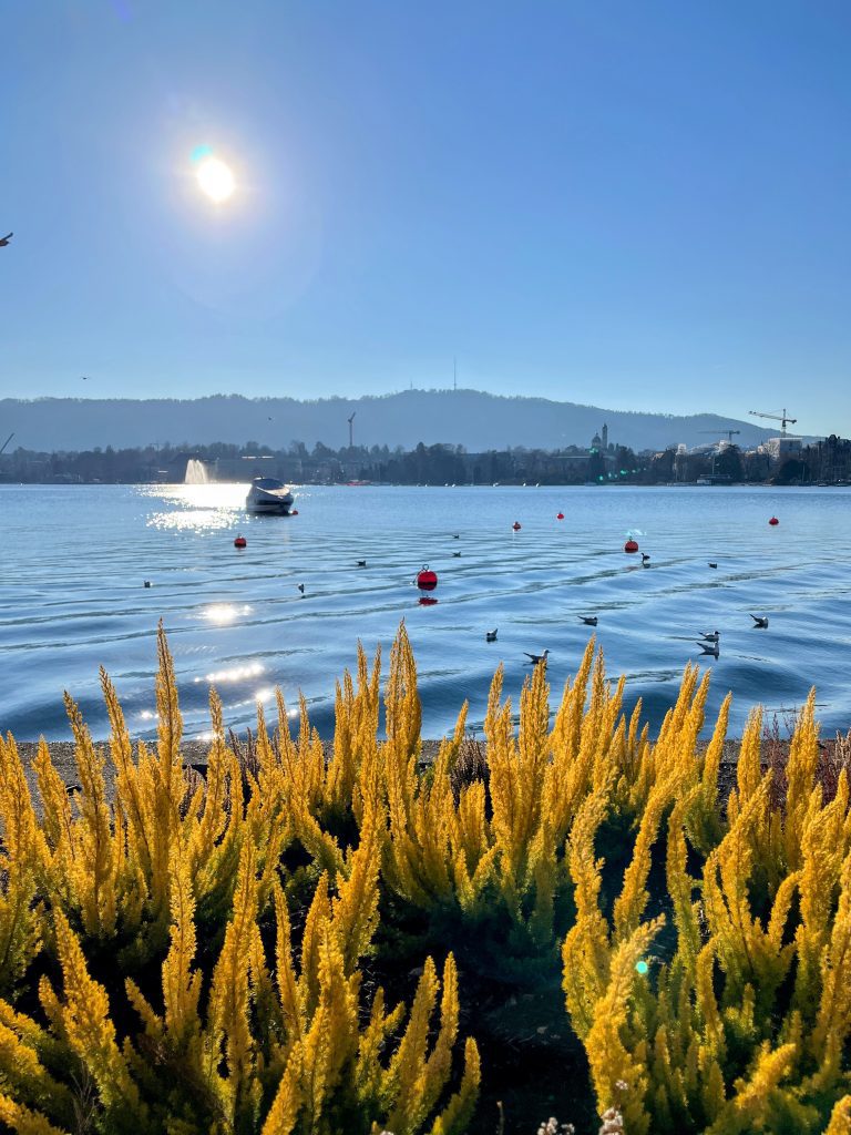 wanderung_zürich_loorenkopf_