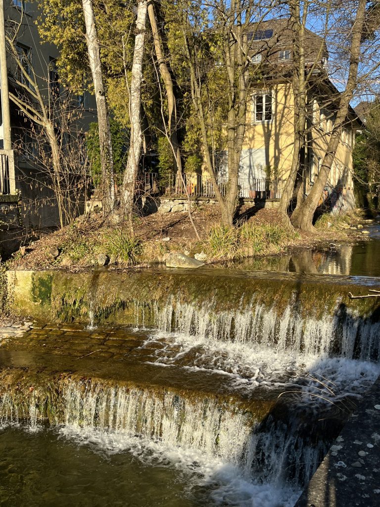 wanderung_zürich_loorenkopf_