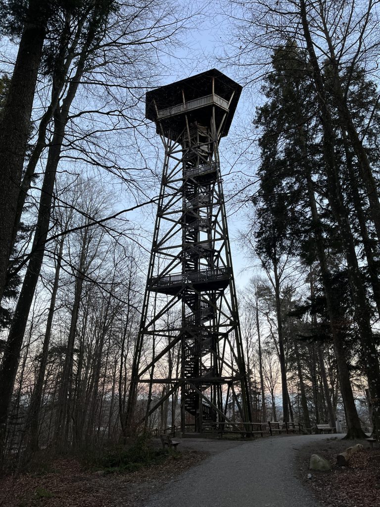 wanderung_zürich_loorenkopf_