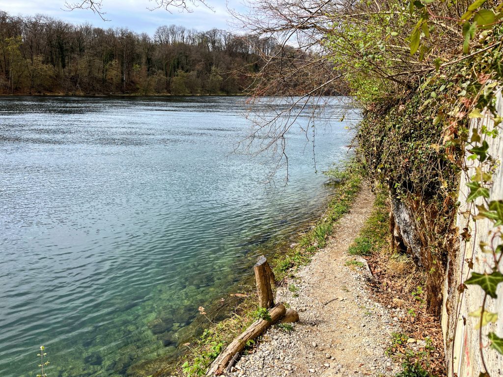 wanderung_rheinau_rheinfall_schaffhausen_