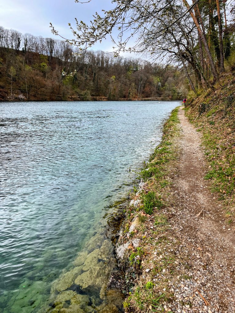 wanderung_rheinau_rheinfall_schaffhausen_