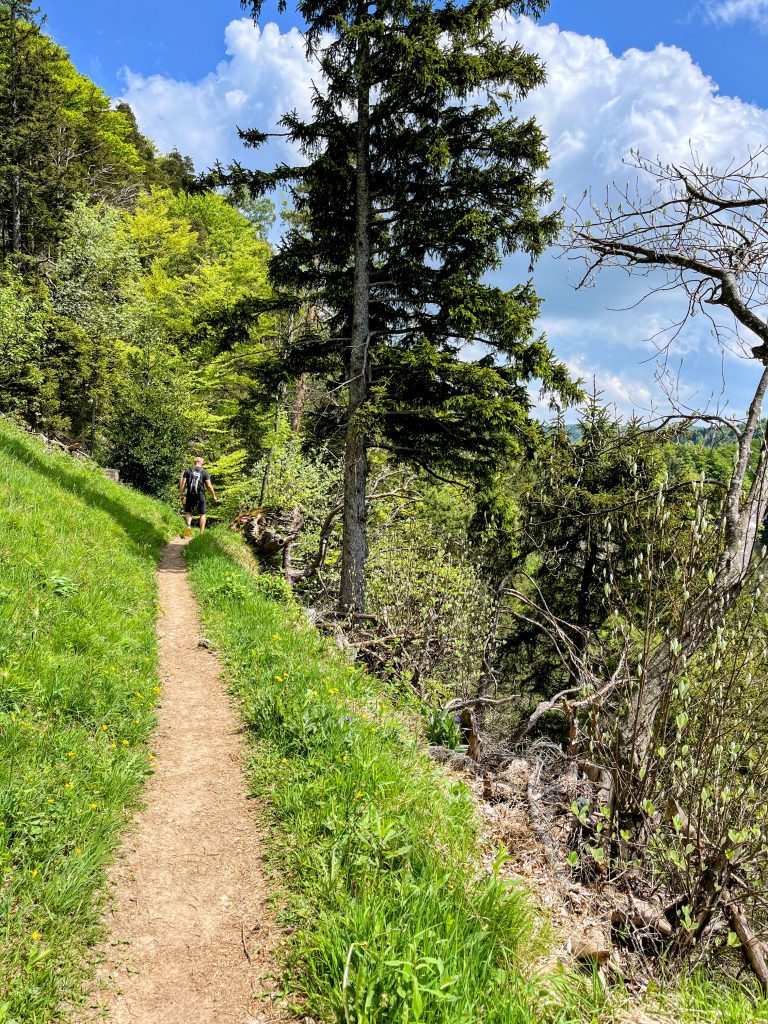 wanderung_schnebelhorn_