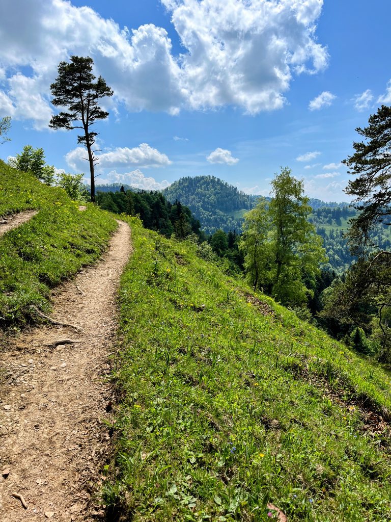 wanderung_schnebelhorn_