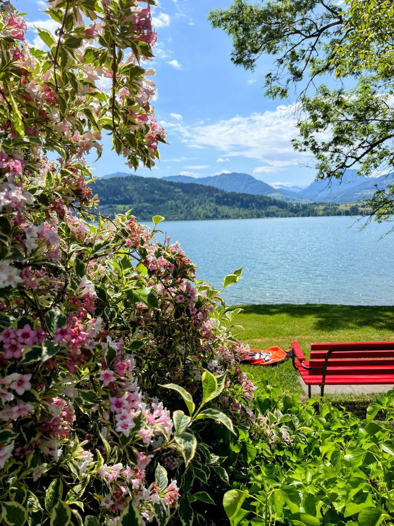 umrundung_zürichsee_schmerikon_stäfa_